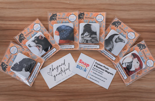 Artist-Edition Animal Magnet Set – Illustrated by Aimee's Pet Portraits